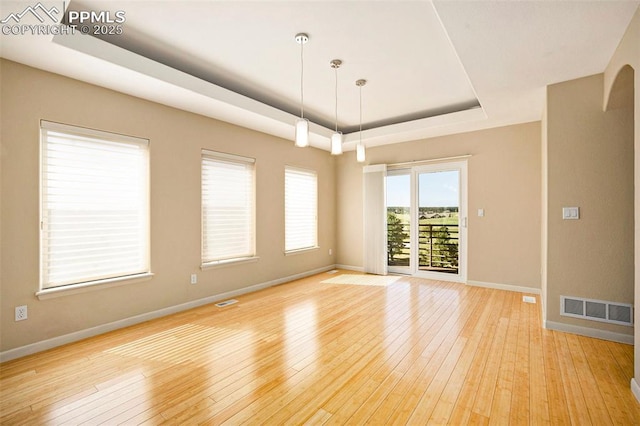 19170 Lochmere Ct, Monument, CO 80132 - empty room featuring a raised ceiling and light wood-style flooring