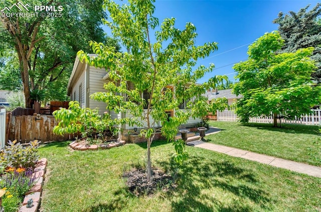 414 Griffin Ave, Canon City, CO 81212 - view of yard