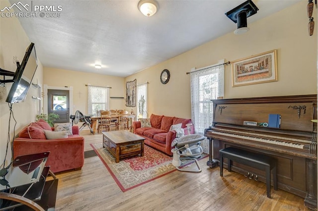 414 Griffin Ave, Canon City, CO 81212 - living area with wood finished floors