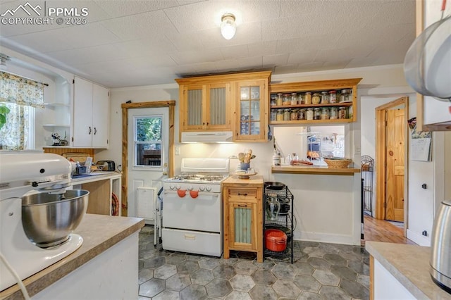 414 Griffin Ave, Canon City, CO 81212 - kitchen with white gas stove, under cabinet range hood, open shelves, and light countertops