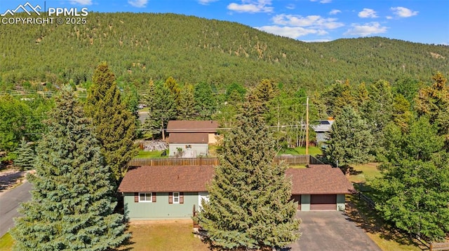 811 N Baldwin St, Woodland Park, CO 80863 - view from above of property with a forest and a mountainous background