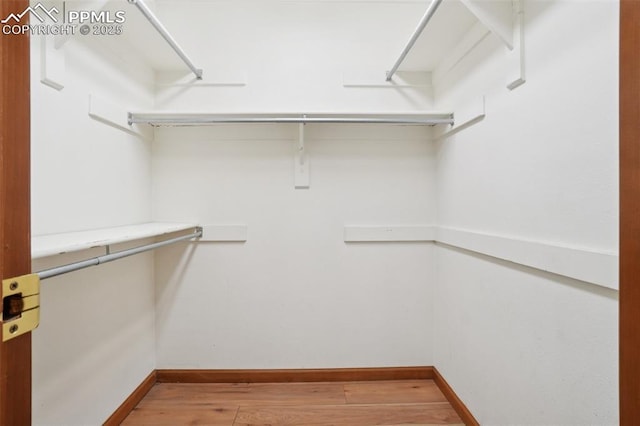 4903 Wainwright Dr, Colorado Springs, CO 80911 - spacious closet featuring light wood finished floors