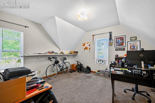 823 N Corona St, Colorado Springs, CO 80903 - carpeted office with a textured ceiling, vaulted ceiling, and healthy amount of natural light