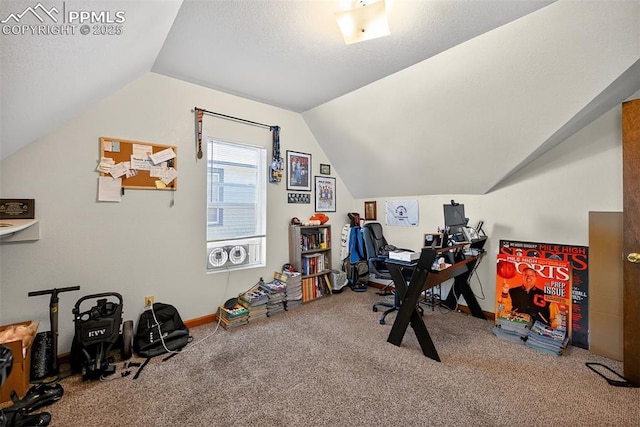 823 N Corona St, Colorado Springs, CO 80903 - office space with vaulted ceiling and carpet flooring