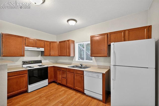 823 N Corona St, Colorado Springs, CO 80903 - kitchen featuring white appliances, under cabinet range hood, light wood-style floors, brown cabinetry, and light countertops