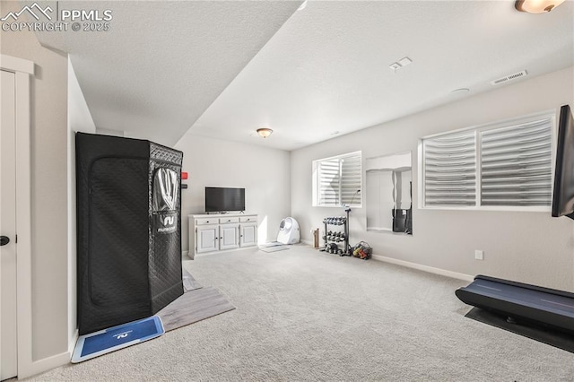 5446 Mesa Top Dr, Monument, CO 80132 - workout area featuring carpet floors