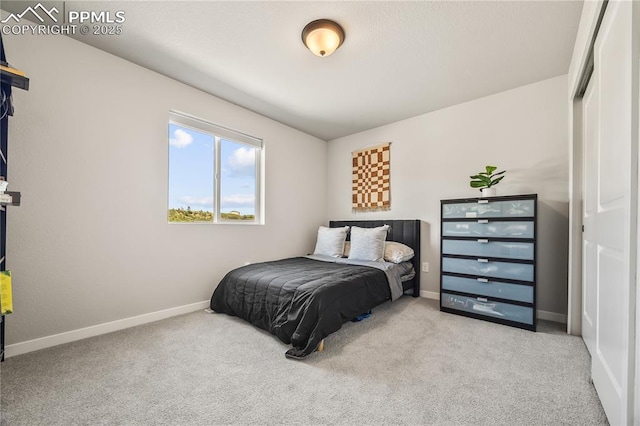 5446 Mesa Top Dr, Monument, CO 80132 - bedroom featuring carpet and a closet