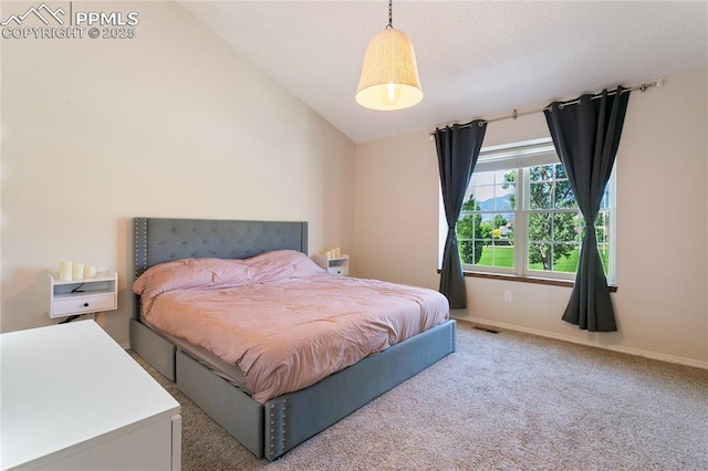 5585 Tamworth Dr, Colorado Springs, CO 80919 - bedroom with vaulted ceiling and carpet floors