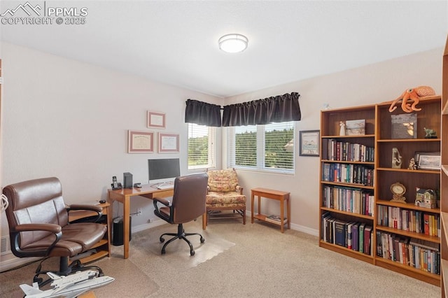 1690 Doe Run Pt, Colorado Springs, CO 80919 - carpeted office with baseboards