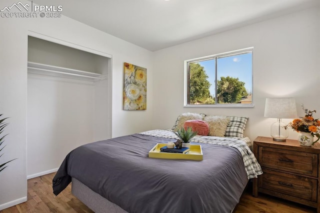 906 Bowser Dr, Colorado Springs, CO 80909 - bedroom with wood finished floors and a closet