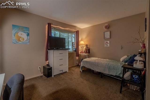 2021 N Academy Blvd, Colorado Springs, CO 80909 - carpeted bedroom with baseboards