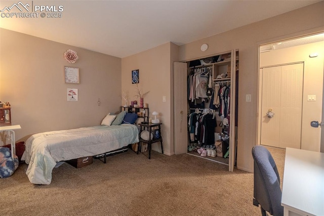 2021 N Academy Blvd, Colorado Springs, CO 80909 - bedroom featuring carpet floors and a closet
