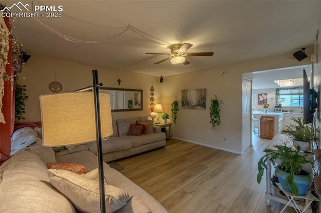 2021 N Academy Blvd, Colorado Springs, CO 80909 - living area featuring light wood finished floors and ceiling fan