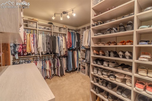 15324 Pole Pine Pt, Colorado Springs, CO 80908 - walk in closet featuring carpet floors