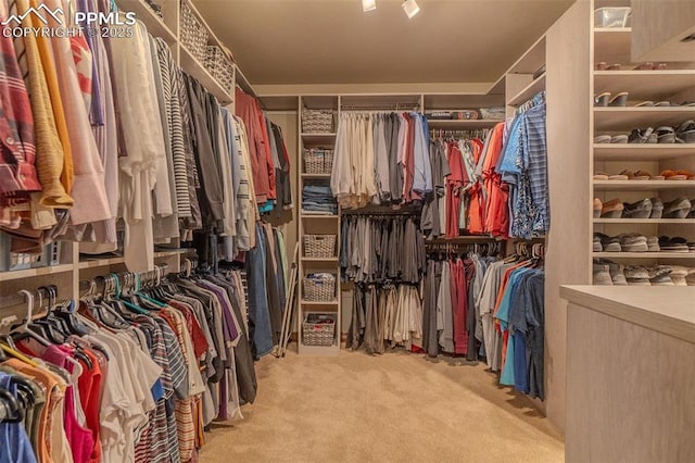 15324 Pole Pine Pt, Colorado Springs, CO 80908 - walk in closet featuring carpet floors