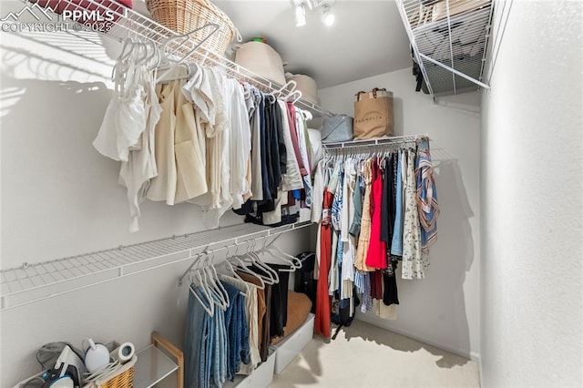 1773 Herd St, Colorado Springs, CO 80910 - walk in closet with carpet flooring