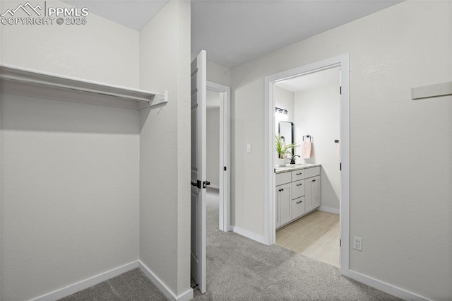 110 Fox Hill Ln, Colorado Springs, CO 80919 - walk in closet with light carpet and a sink