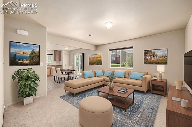 5718 Badenoch Ter, Colorado Springs, CO 80923 - living area featuring baseboards and light carpet