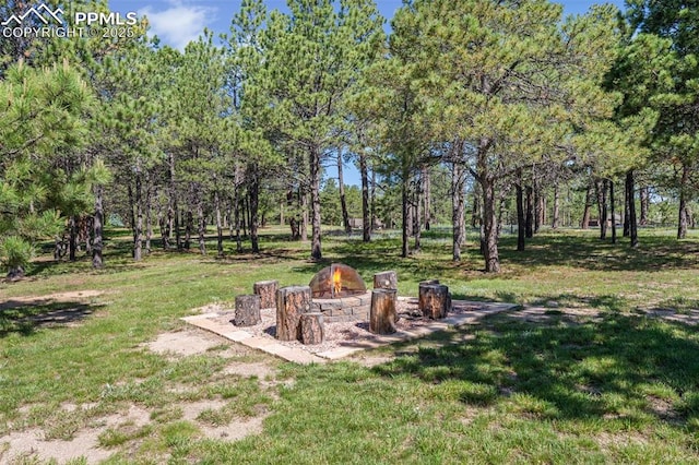 15704 Pole Pine Pt, Colorado Springs, CO 80908 - view of grassy yard with a fire pit