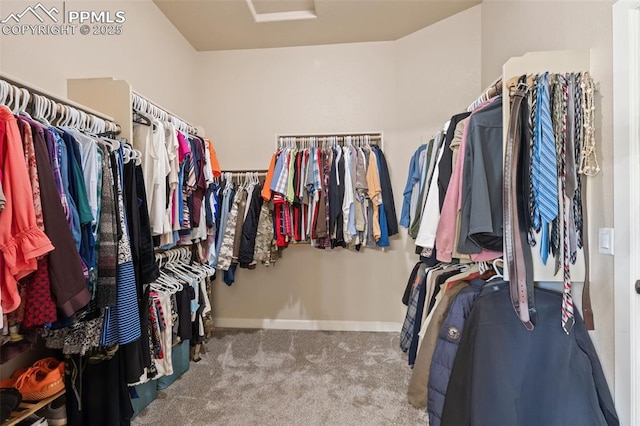 15704 Pole Pine Pt, Colorado Springs, CO 80908 - walk in closet featuring attic access and carpet