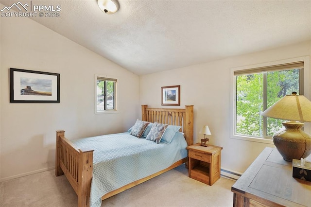 130 Oak Ln, Florissant, CO 80816 - bedroom featuring carpet flooring, a baseboard radiator, multiple windows, lofted ceiling, and a textured ceiling