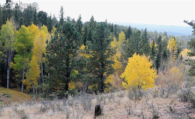 130 Oak Ln, Florissant, CO 80816 - view of woods