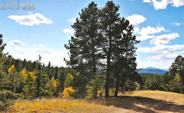 130 Oak Ln, Florissant, CO 80816 - view of mountain background with a forest