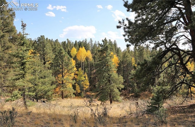 130 Oak Ln, Florissant, CO 80816 - view of tree filled area