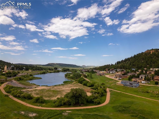 354 Corona Ave, Palmer Lake, CO 80133 - water view featuring a mountain backdrop