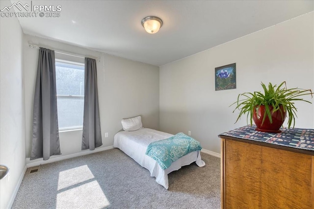 8285 Lodge Grass Way, Colorado Springs, CO 80908 - carpeted bedroom with baseboards