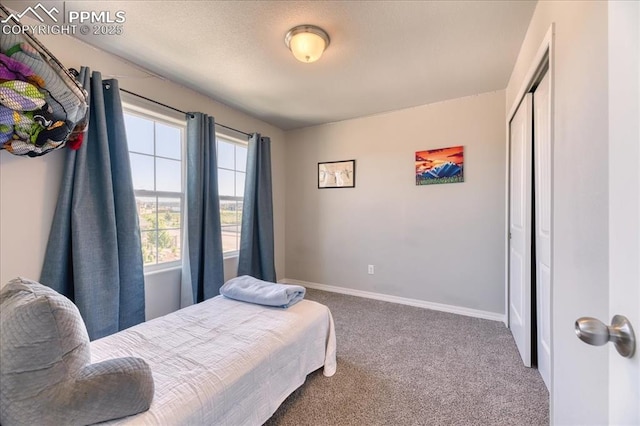 8285 Lodge Grass Way, Colorado Springs, CO 80908 - carpeted bedroom with a closet and baseboards