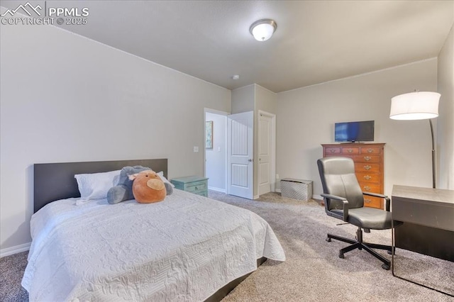 8285 Lodge Grass Way, Colorado Springs, CO 80908 - carpeted bedroom featuring baseboards