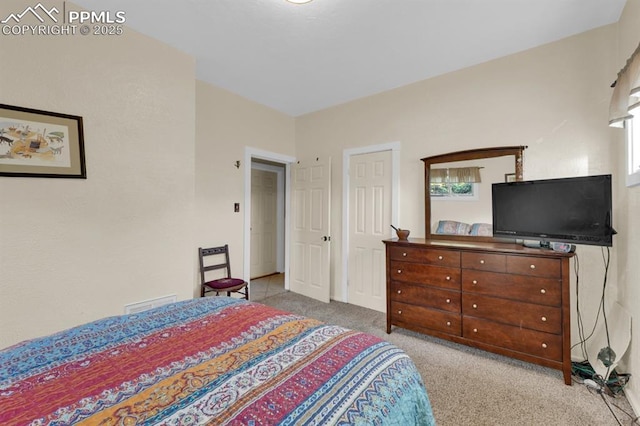 1339 Arch St, Colorado Springs, CO 80904 - bedroom featuring carpet floors and multiple windows