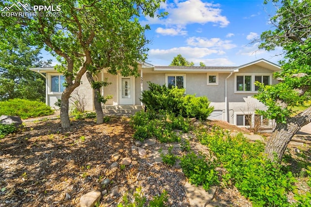 3970 Old Ranch Rd, Colorado Springs, CO 80908 - ranch-style home with stucco siding