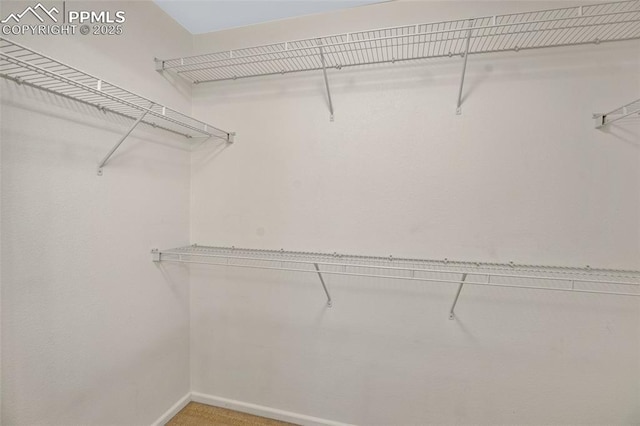 8170 Snow Bowl Hts, Fountain, CO 80817 - spacious closet featuring carpet