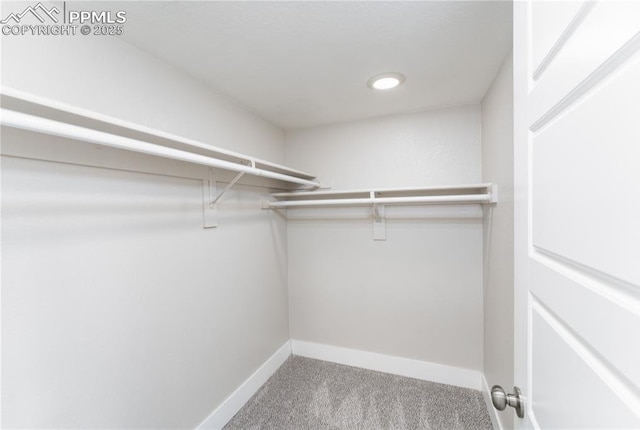 1514 W Platte Ave, Colorado Springs, CO 80904 - walk in closet featuring carpet