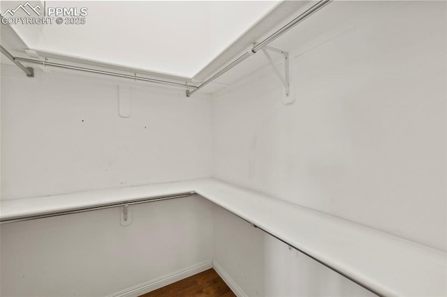 10 Desert Inn Way, Colorado Springs, CO 80921 - spacious closet featuring dark wood-type flooring