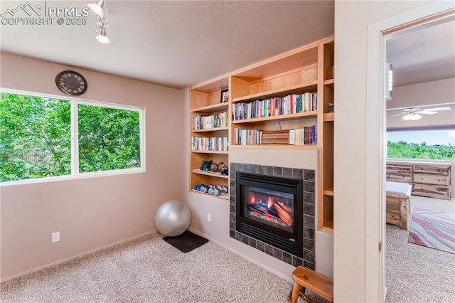 616 Tierra Verde Ct, Colorado Springs, CO 80904 - exercise room featuring carpet, a fireplace, and rail lighting