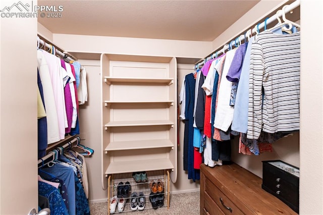 616 Tierra Verde Ct, Colorado Springs, CO 80904 - spacious closet with carpet floors