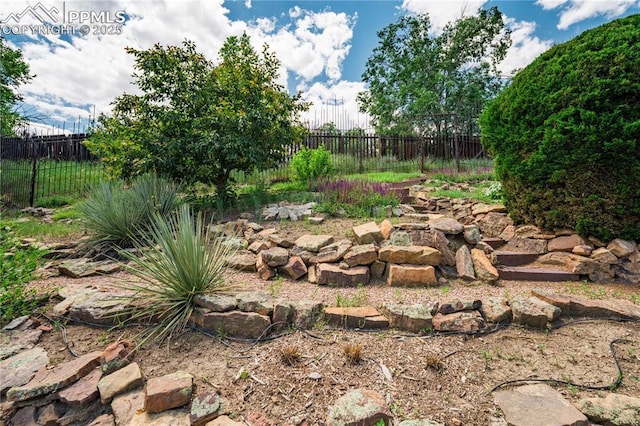 616 Tierra Verde Ct, Colorado Springs, CO 80904 - view of yard