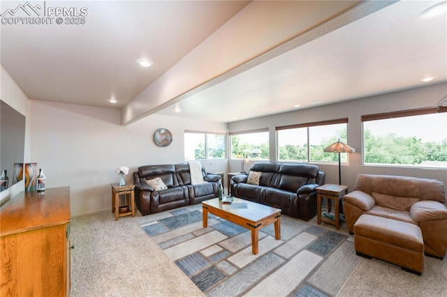 616 Tierra Verde Ct, Colorado Springs, CO 80904 - carpeted living area with recessed lighting