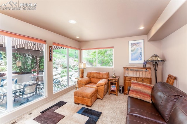 616 Tierra Verde Ct, Colorado Springs, CO 80904 - living area featuring light colored carpet and recessed lighting