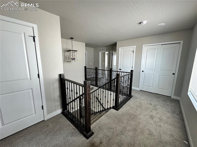 11489 Piping Plover Pl, Colorado Springs, CO 80925 - corridor with an upstairs landing, carpet flooring, and a textured ceiling