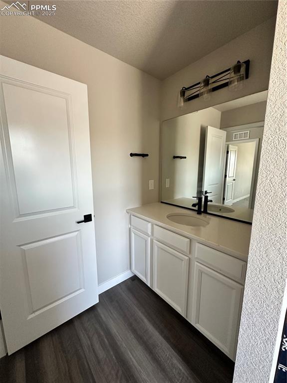 11489 Piping Plover Pl, Colorado Springs, CO 80925 - bathroom with wood finished floors, vanity, and a textured ceiling