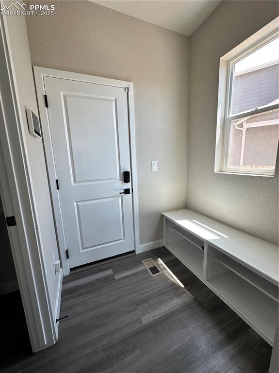 11489 Piping Plover Pl, Colorado Springs, CO 80925 - mudroom featuring dark wood-type flooring and a textured wall