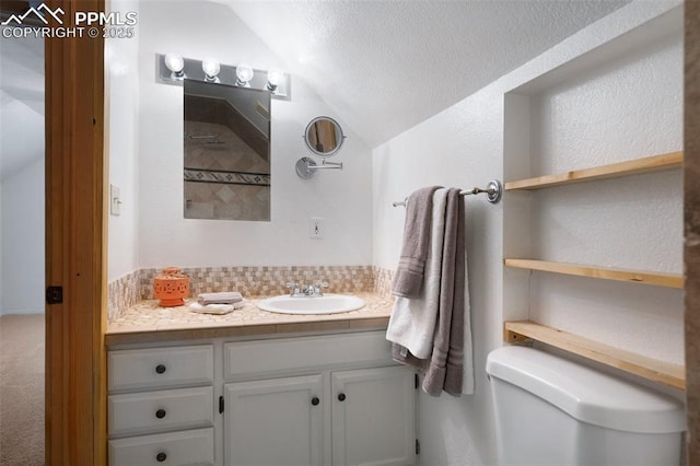1112 W 4th St, Florence, CO 81226 - bathroom with lofted ceiling, vanity, and a textured ceiling