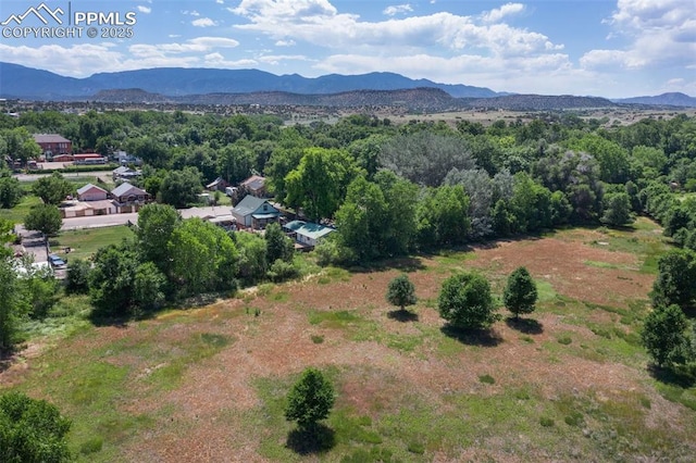 1112 W 4th St, Florence, CO 81226 - bird's eye view of mountains