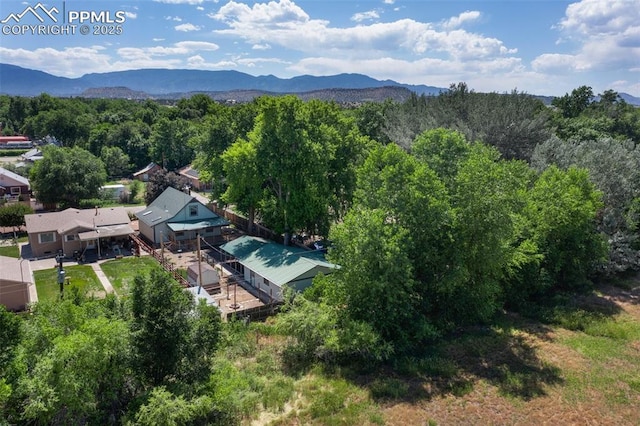 1112 W 4th St, Florence, CO 81226 - bird's eye view of a mountainous background