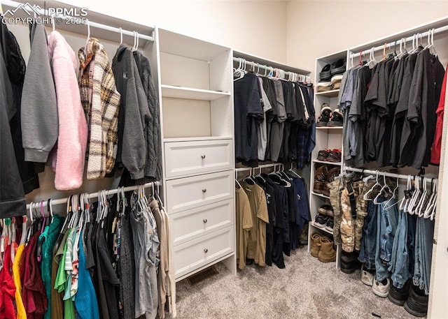 7145 Appletree Loop, Colorado Springs, CO 80925 - spacious closet featuring carpet flooring