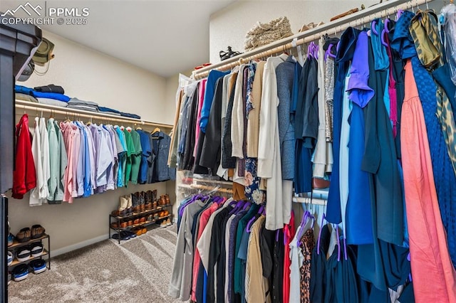 6107 Adamants Dr, Colorado Springs, CO 80924 - spacious closet featuring carpet floors